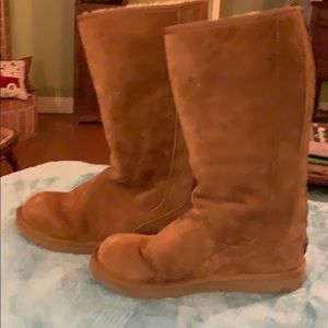 Ugg chestnut color boots.